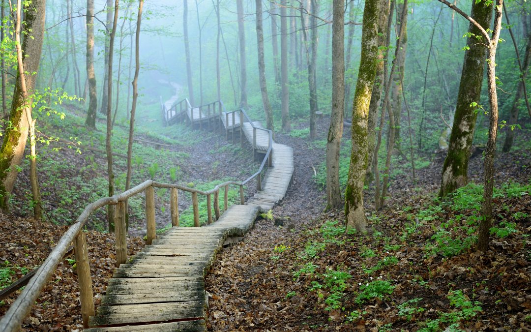 Are “Get Rich Quick” Business Offers Legit or Just Illusions?